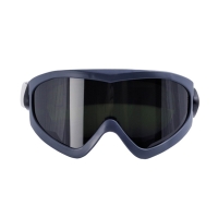 Gafas 2890_2895S_3